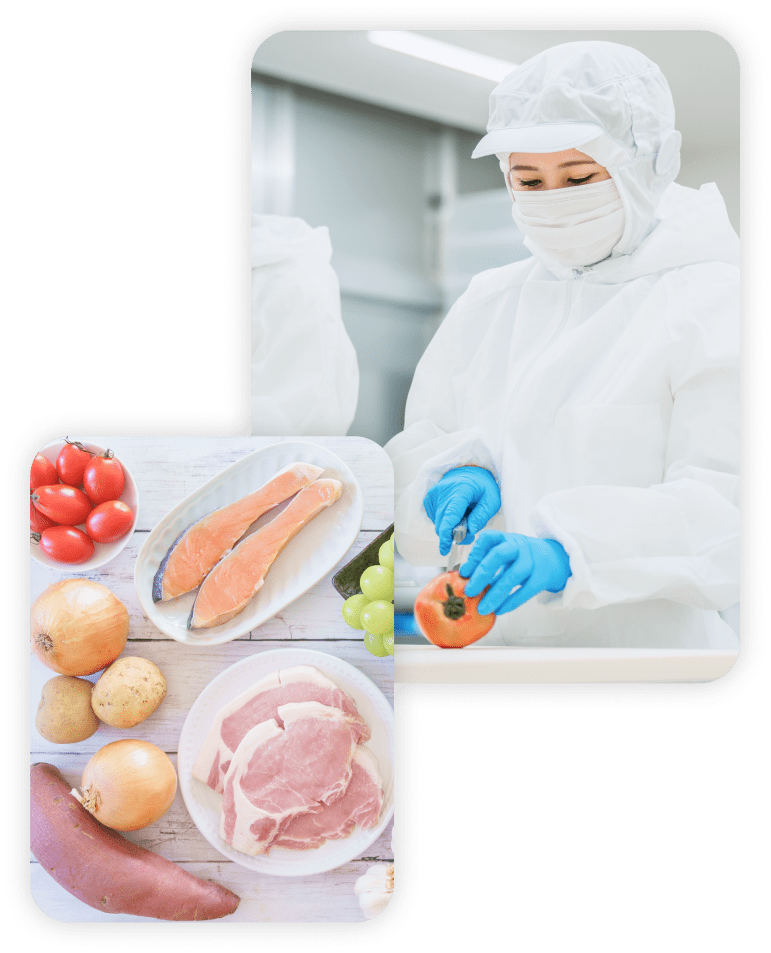 就職をサポート　食品業界研究コラムのイメージ
